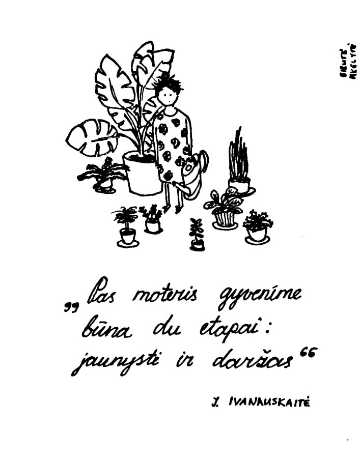 Daržas 147x210